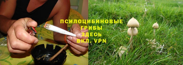 прущие крисы Лихославль